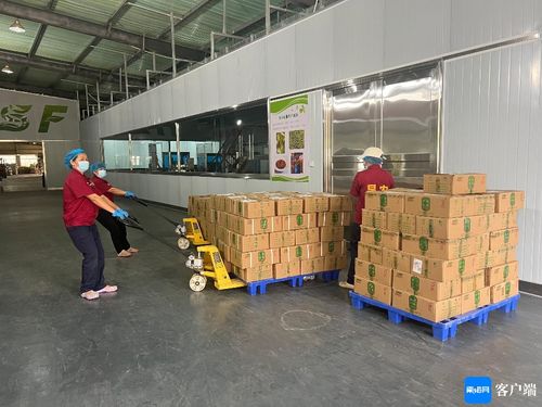 海口大坡胡椒香飘海外，2.5吨订单成功出口新加坡