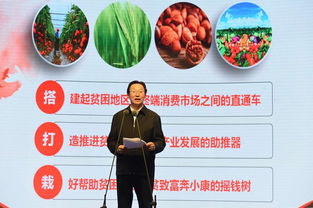 三区三州贫困地区农产品产销对接专场启动，现场签约额突破45亿元助力乡村振兴