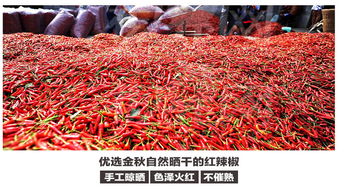 魔鬼的诱惑 汇尔康印度魔鬼辣椒，点燃味蕾的香辣风暴