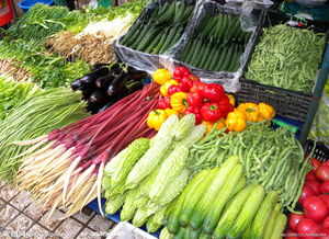 青岛气温升高，菜价延续回落态势，初级农产品市场趋于平稳