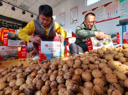 延庆大庄科 54万公斤山楂的逆袭之路